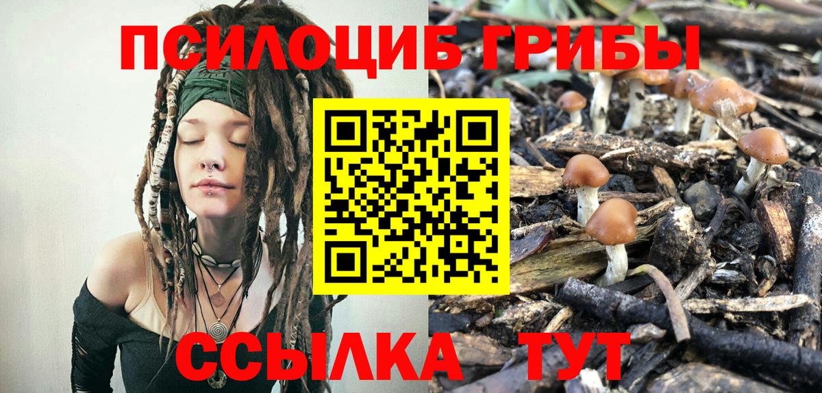 Уссурийск  Галлюциногенные грибы Psilocybine cubensis  закладки  Галлюциногенные грибы Magic Shrooms  Вход с VPN 