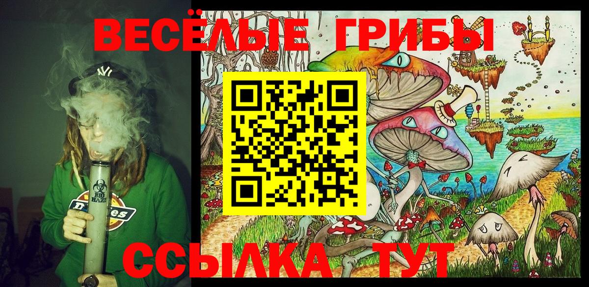 Псилоцибиновые грибы GOLDEN TEACHER Уссурийск